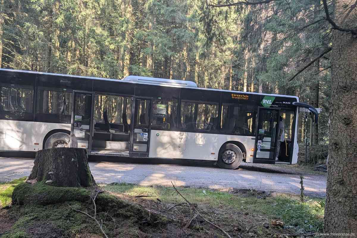 Reifenplatzer an Schulbus im Erzgebirge: So geht es den Grundschülern