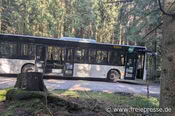 Reifenplatzer an Schulbus im Erzgebirge: So geht es den Grundschülern