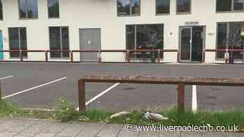 Woman 'in tears' after what happened on Liverpool waterfront