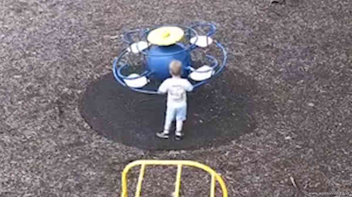 Body found in search for missing three-year-old Noah Woods - live updates