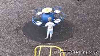 Body found in search for missing three-year-old Noah Woods - live updates