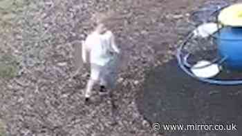 Noah Woods - latest: Body of child found in search for missing boy, 3, in Brantham