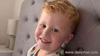 Police find body in lake in hunt for missing Noah: Divers had scoured area in search for non-verbal, partially deaf three-year-old