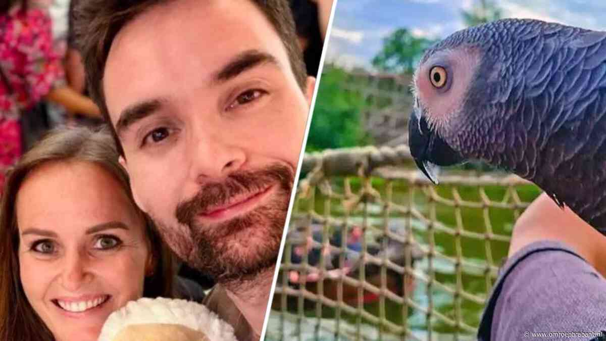 Papegaai in de Efteling en zwangerschap na overlijden: dit gebeurde vandaag