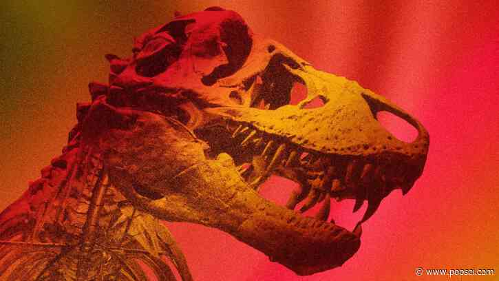 Tyrannosaurus rex was warm-blooded, new study confirms