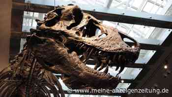 Zahnanalyse bestätigt: Der T. rex war Warmblüter