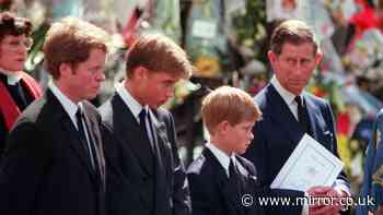 King Charles hits back at explosive claims by Princess Diana's brother Earl Spencer