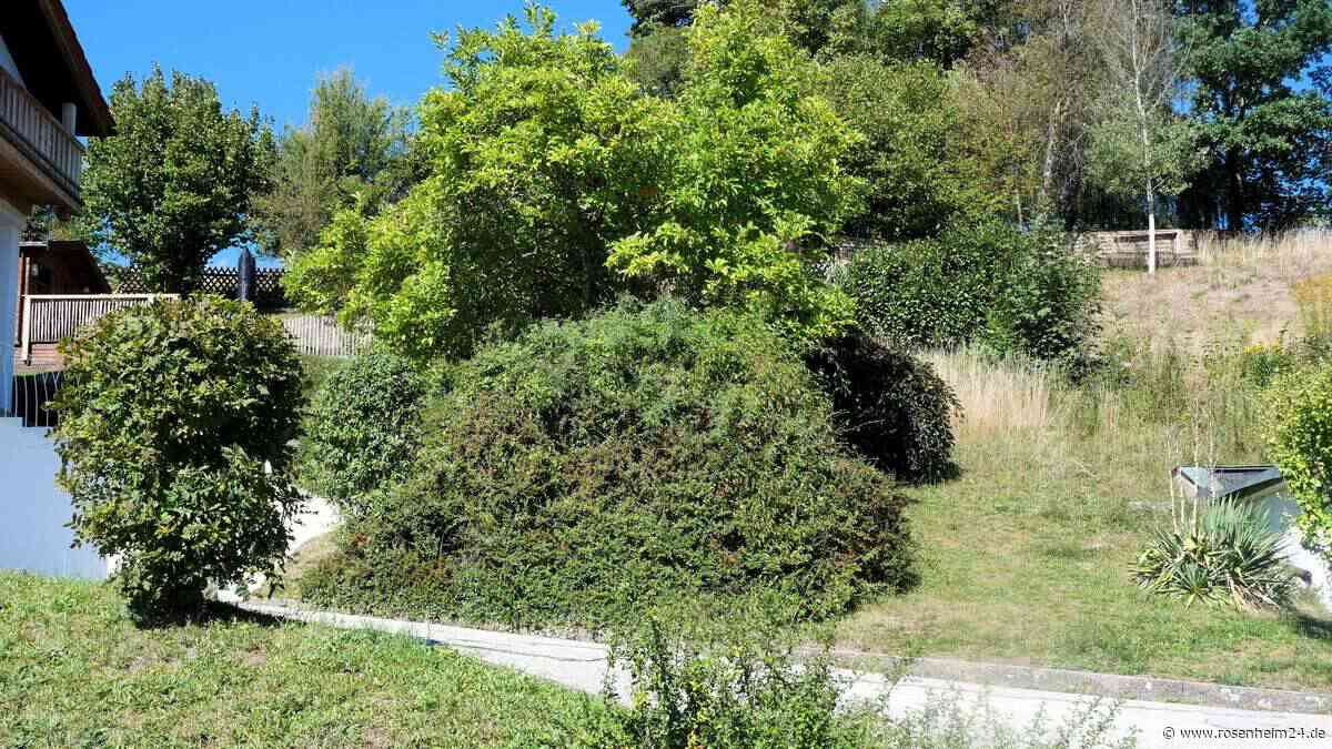 33 Prozent Gefälle: Feldkirchen-Westerham stimmt Bauprojekt am Steilhang zu