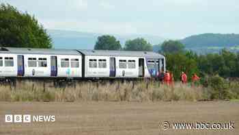 Rail accident body begins probe into fatal collision