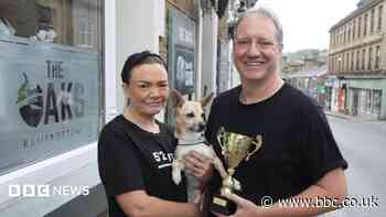 Pub dog helps find missing black pudding trophy