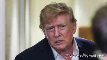 Americans say they're terrified of AI 'destroying humanity' as Trump doubles down on NO safeguards demand