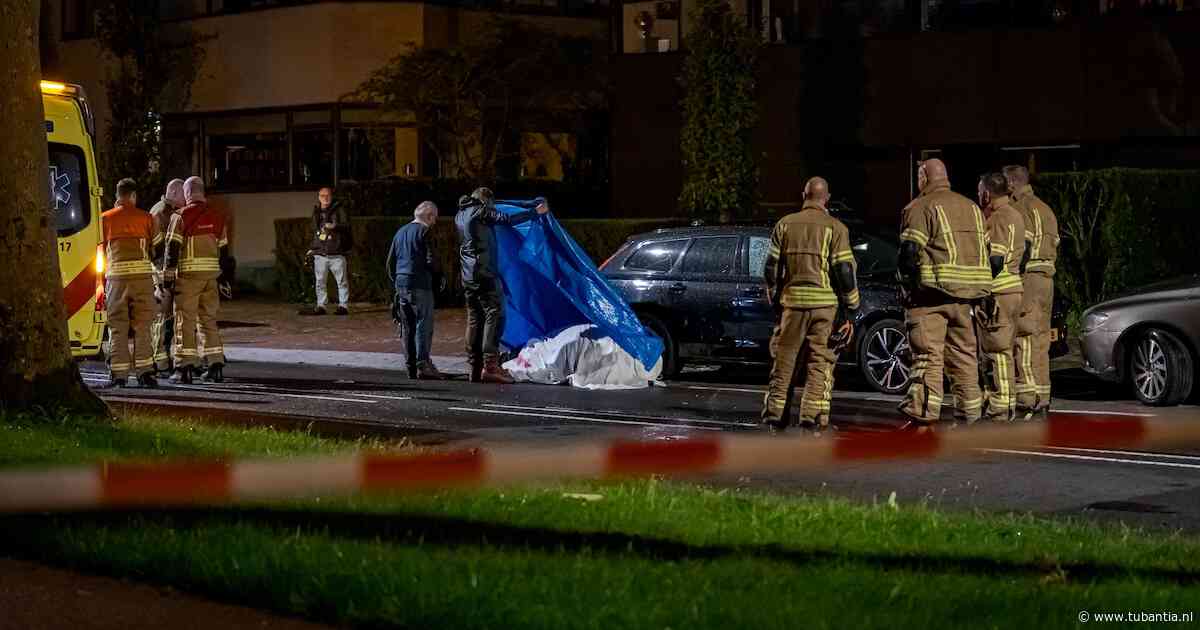 Paard overleden na aanrijding met auto in Rotterdam, automobiliste gewond