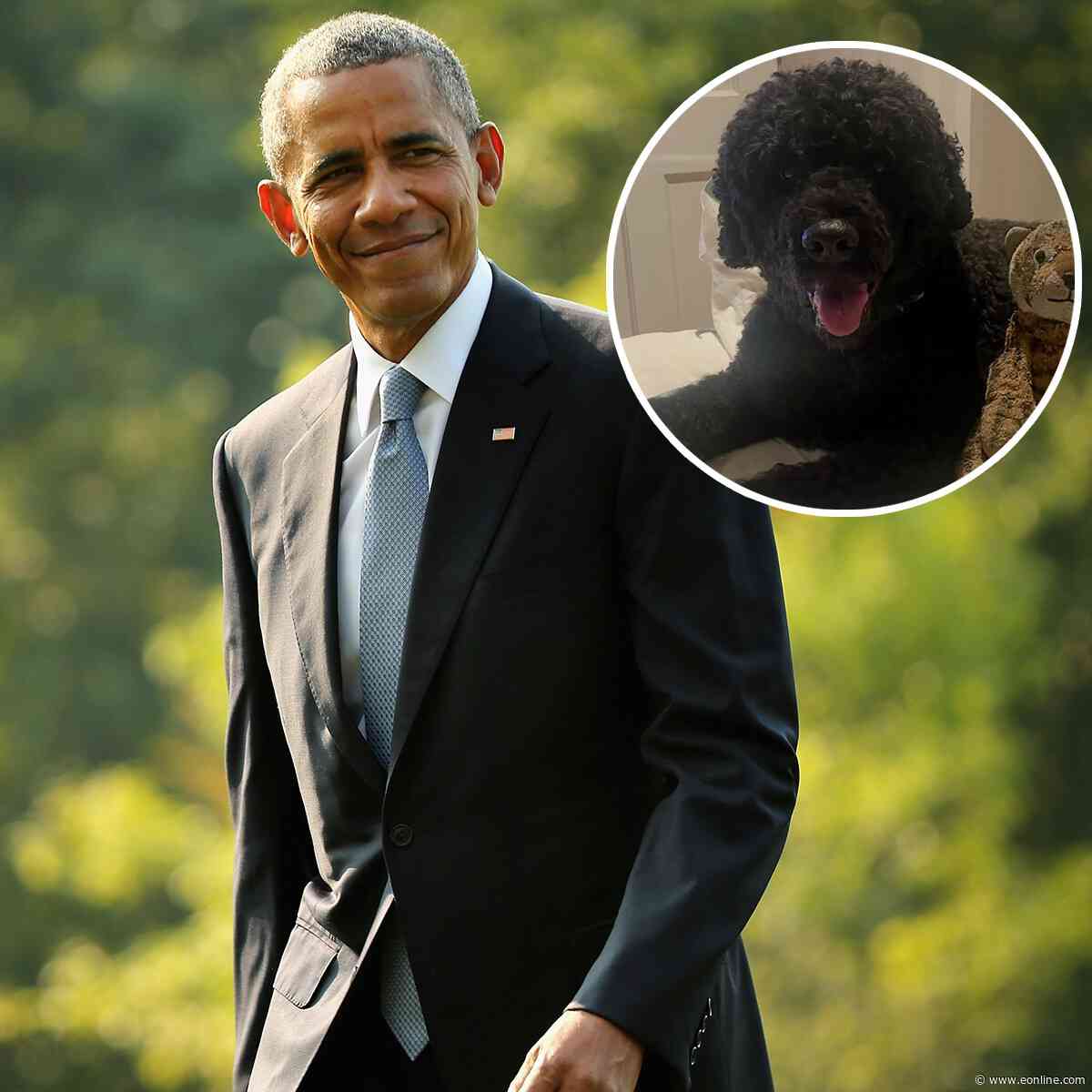 Barack Obama Mourns Death of Beloved Family Dog Sunny