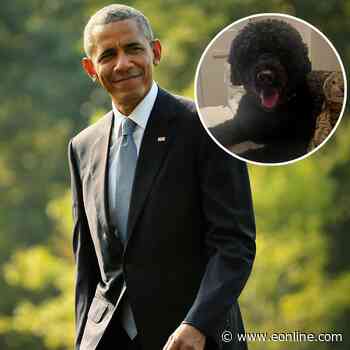 Barack Obama Mourns Death of Beloved Family Dog Sunny