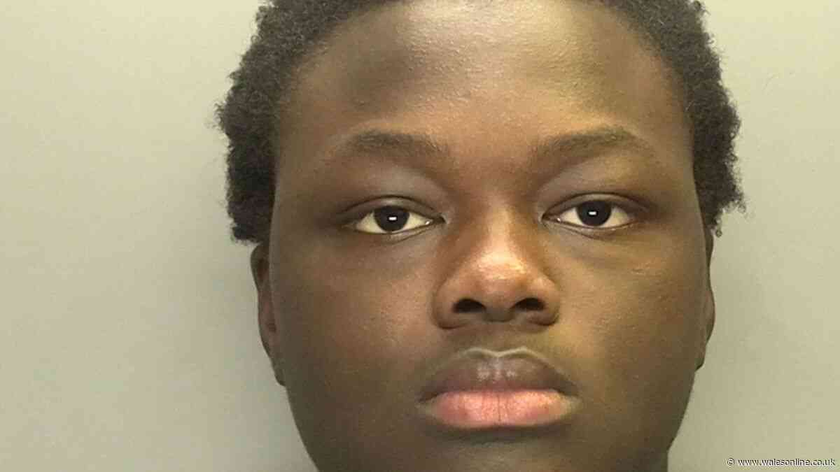 Teenage boy recorded sexual abuse of children to sell to paedophiles online