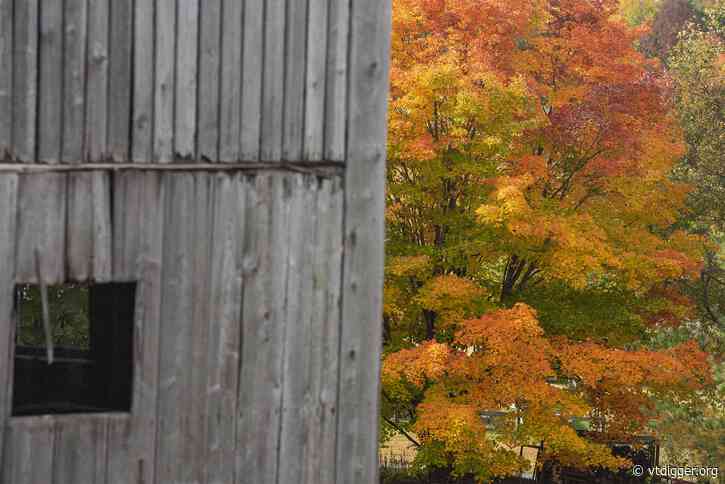 Fall foliage varies from year to year, for leaf-peepers and trees