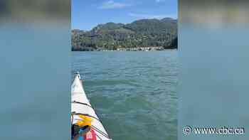 Maritime experts urge use of verified weather reports, after kayaker capsizes in B.C. waters