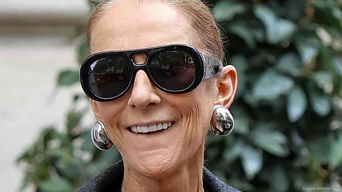 Celine Dion's bodyguard gets back to work as he gives her a boost while she greets fans outside her hotel days after he was spotted helping her out