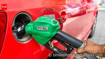 Govt lowers export levies on petrol, diesel and aviation turbine fuel amid fortnightly review