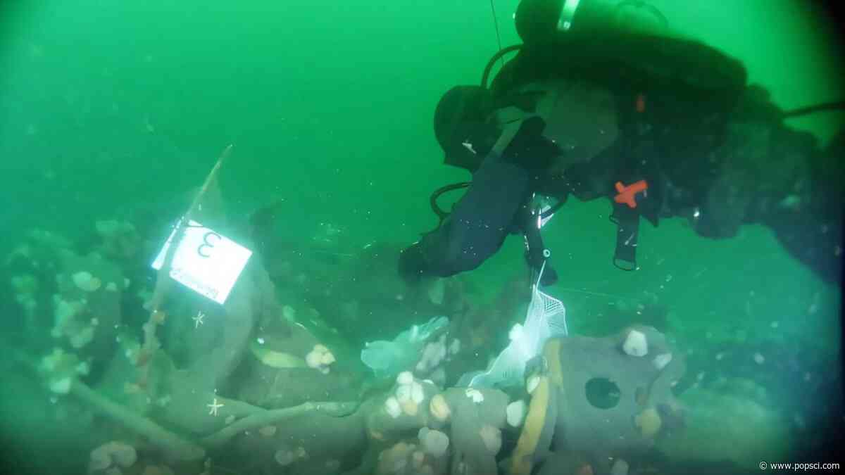Sunken WWI sub is leaking TNT into the North Sea