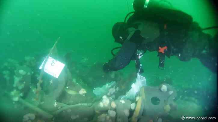Sunken WWI sub is leaking TNT into the North Sea