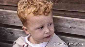 Body found in search for missing Noah Woods, 3, in Brantham as volunteers weep