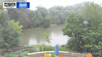 More rain in the forecast