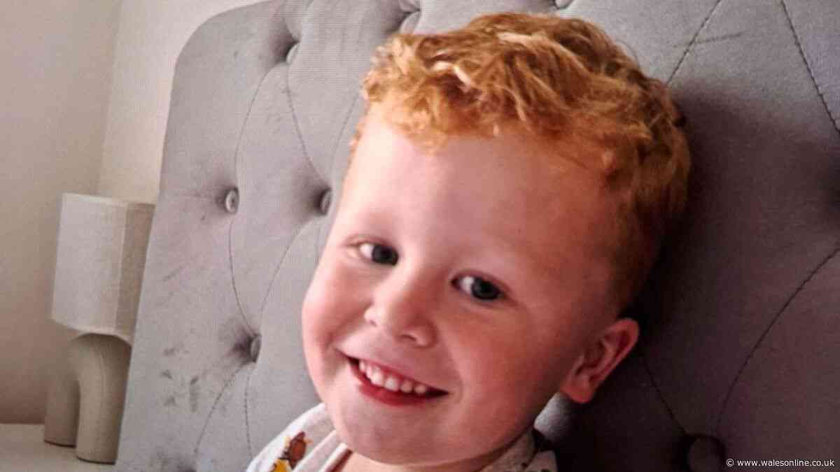 Everything we know as police find body in search for missing three-year-old Noah Woods