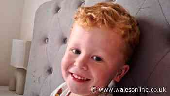 Everything we know as police find body in search for missing three-year-old Noah Woods