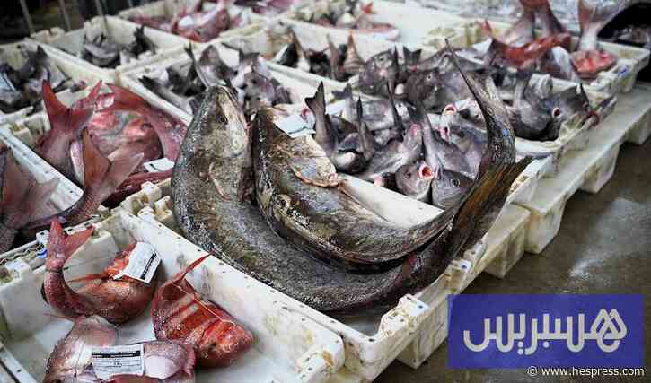 مفرغات الصيد تنتعش في بوجدور