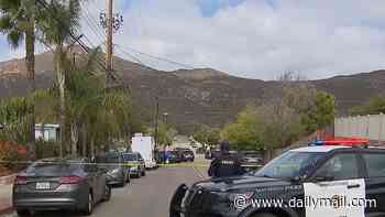 Two adults and child found dead in $1 million San Diego home after neighbor heard 'loud bangs' in the night