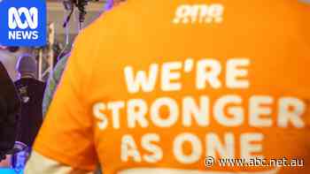One Nation volunteer previously promoted neo-Nazi ideologies
