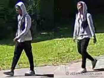 Suspect sought by Ottawa police over indecent acts in Heron Park area