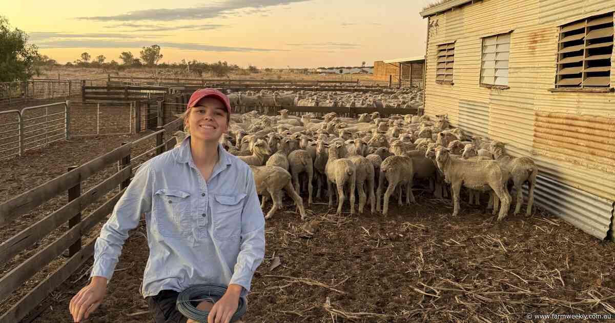 How WA sheep farmers are looking to future-proof farms without live export