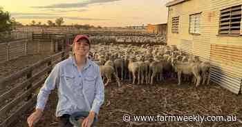 How WA sheep farmers are looking to future-proof farms without live export
