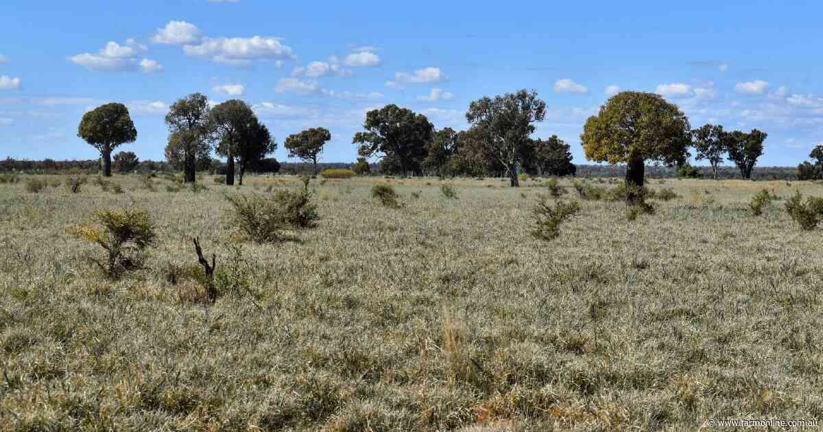 Prairie a very well developed cattle property in a 'dress circle' district