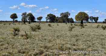 Prairie a very well developed cattle property in a 'dress circle' district