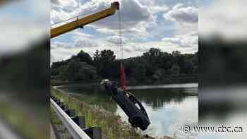 People in cars stop to pull driver to safety after vehicle goes off road, into Guelph Lake in southern Ontario