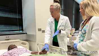 USF St. Petersburg launches new freshman nursing pathway program