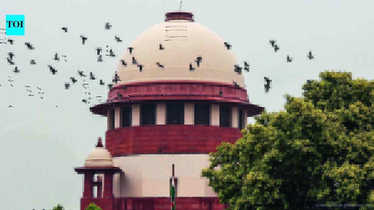 Aggrieved party can seek deletion of court clips on socials: SC