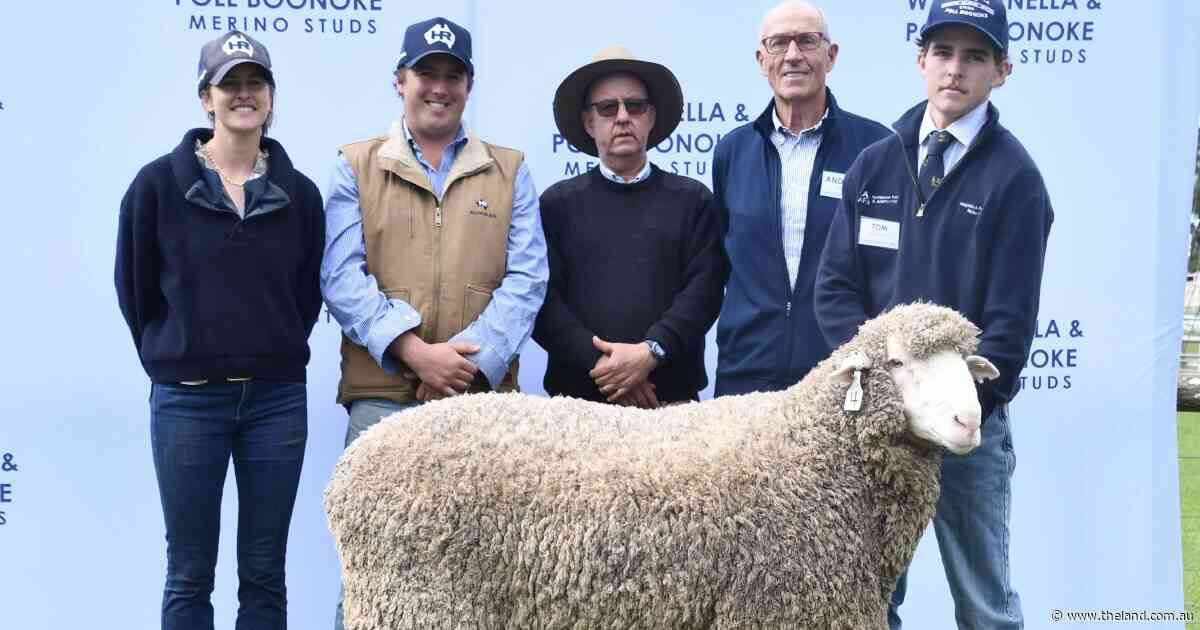 Last Bell rings at Poll Boonoke and Wanganella as stud brings in new era