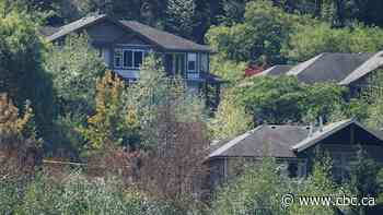 'I've had enough': Homeowners living beside abandoned B.C. subdivision on edge after suspected arson