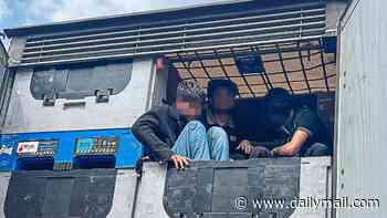 The 'forgotten' migrant route into Britain: I'm the boss of a haulage company - and while everyone is outraged by small boats, THIS is what I find in the back of my lorries... and my drivers get the blame!
