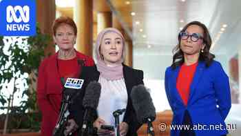 Live: Hanson teams up with Fatima Payman to attack crossbench staffing limits