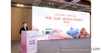 Xinhua Silk Road: Two indices on rowing and hutong revitalization in Shenyang launched