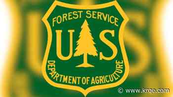 Prescribed burn planned for portion of Cibola National Forest