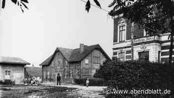 Bergedorf-Bille lässt Gutshaus in Nettelnburg abreißen und erntet viel Protest