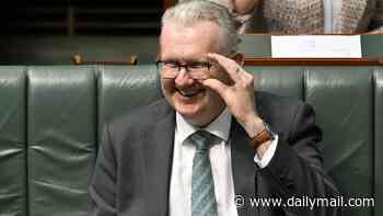 Anthony Albanese's government announces sweeping changes to migration: Who stays and who goes