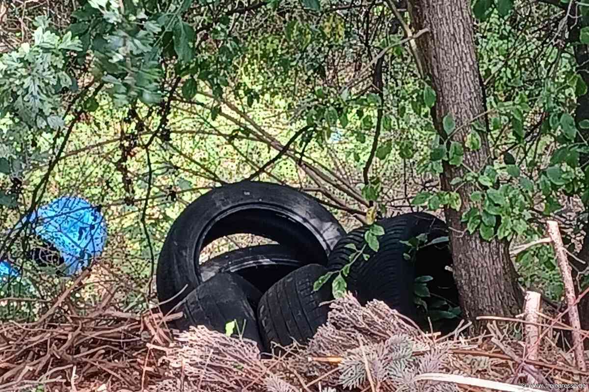 Landschaftspflegeverband ruft in Zwickau zum Müllsammeln auf