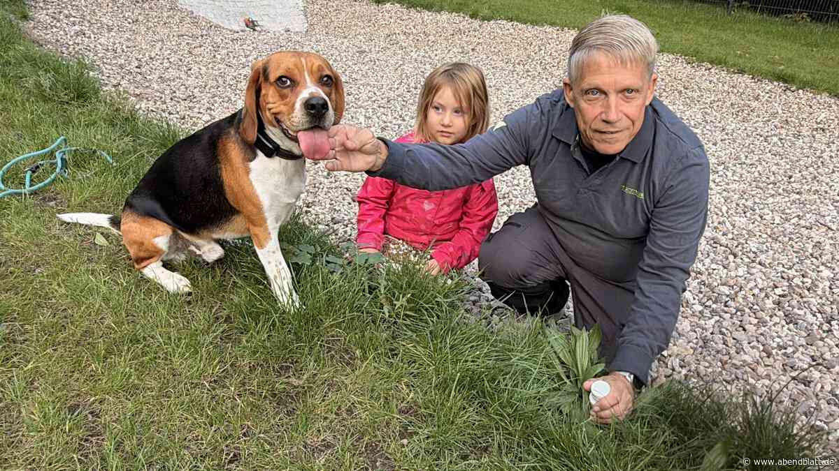 Neue Hundeauslauffläche in Wandsbek: Gerade eingeweiht, schon gibt es Probleme